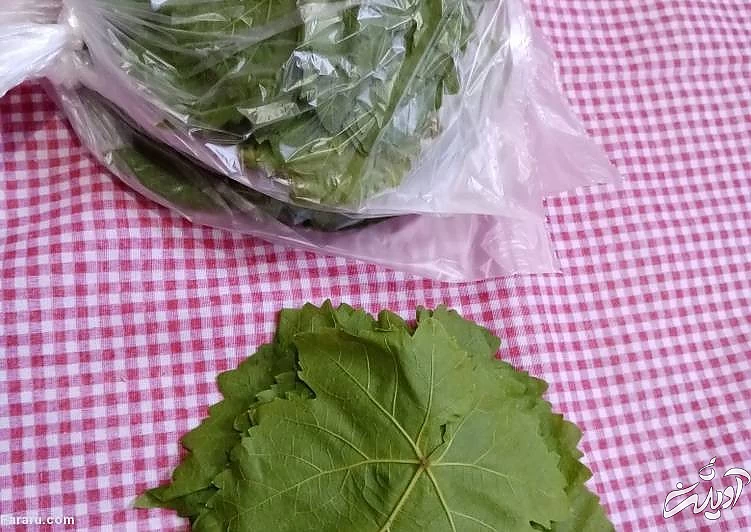 فریز برگ مو